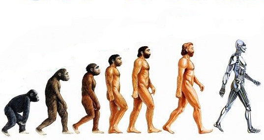 Evolution of Man Evolution of Man